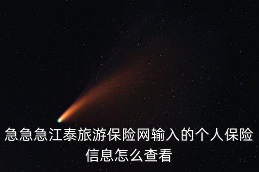 急急急江泰旅游保险网输入的个人保险信息怎么查看