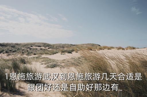 恩施旅游跟团好还是自由行好，武汉到恩施旅游是自驾游好还是跟旅游团游好