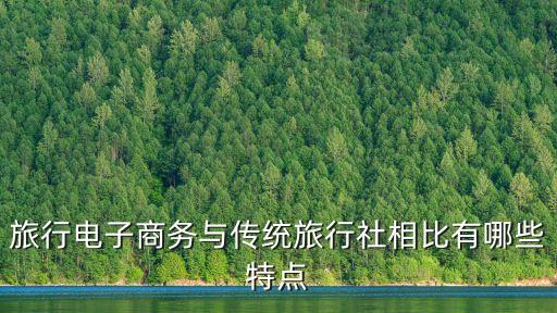 旅行电子商务与传统旅行社相比有哪些特点
