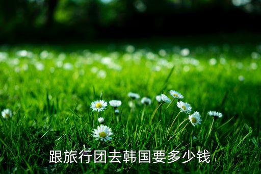 跟旅行团去韩国要多少钱