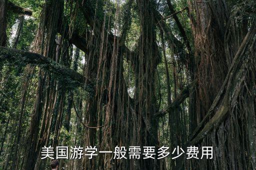 美国游学一般需要多少费用