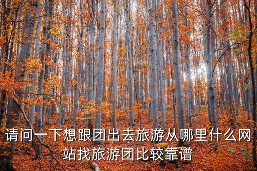 请问一下想跟团出去旅游从哪里什么网站找旅游团比较靠谱
