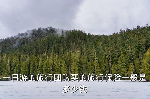 一日游的旅行团购买的旅行保险一般是多少钱