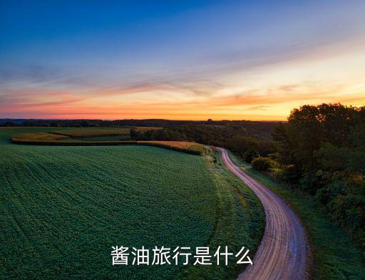 酱油旅行是什么