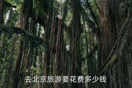 去北京旅游要花费多少钱