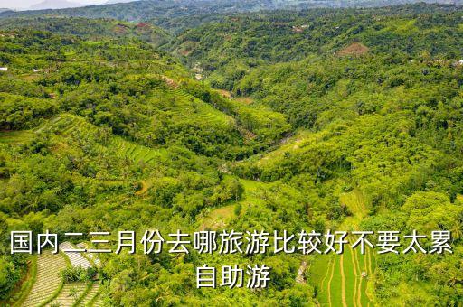 国内二三月份去哪旅游比较好不要太累自助游
