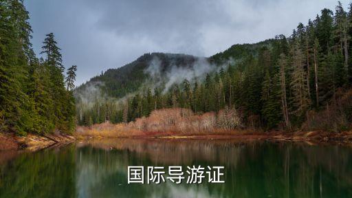 国际导游证
