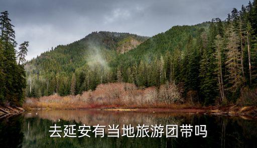 延安当地旅行社，去延安有当地旅游团带吗