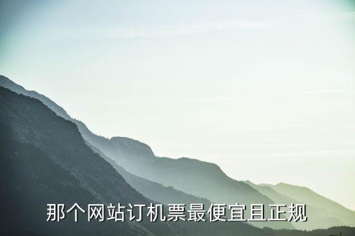 哪个软件订机票便宜可靠，在哪个网站上订的机票既便宜又安全