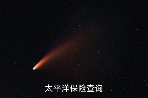 太平洋保险查询