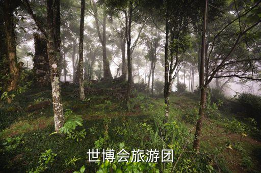 上海雅舟旅行社有限公司官网，华胜旅游网