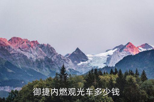 御捷内燃观光车多少钱
