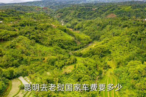 昆明去老挝国家车费要多少