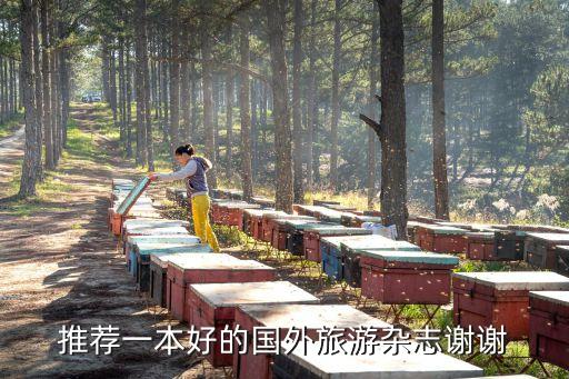 推荐一本好的国外旅游杂志谢谢