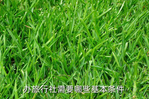 办旅行社需要哪些基本条件