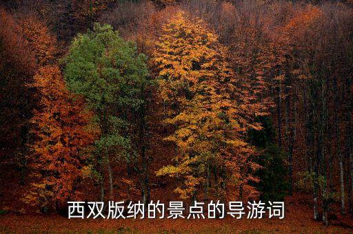 西双版纳导游讲解词，求一篇西双版纳的导游词