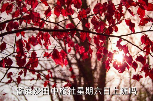 香港沙田中旅社星期六日上班吗