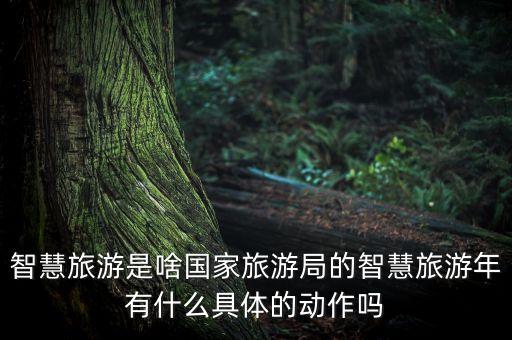 智慧旅游是啥国家旅游局的智慧旅游年有什么具体的动作吗