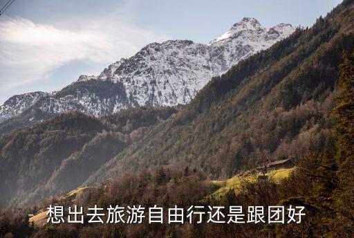 想出去旅游自由行还是跟团好