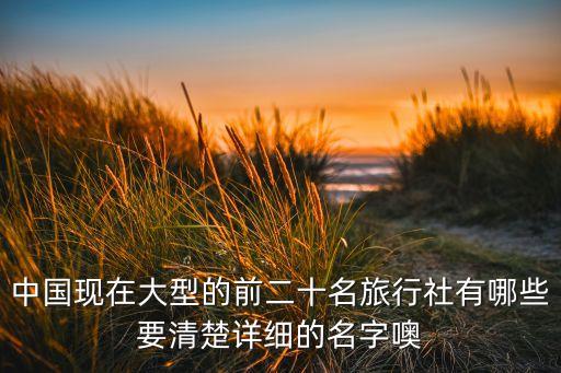 中国现在大型的前二十名旅行社有哪些要清楚详细的名字噢