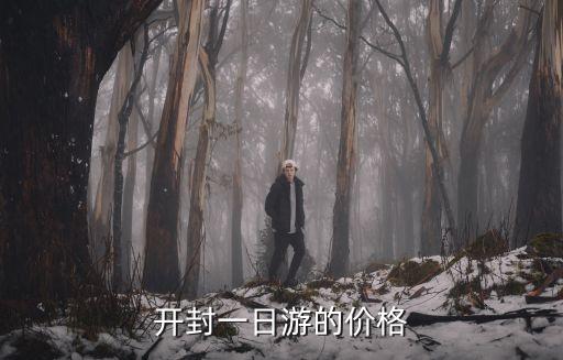 开封一日游的价格