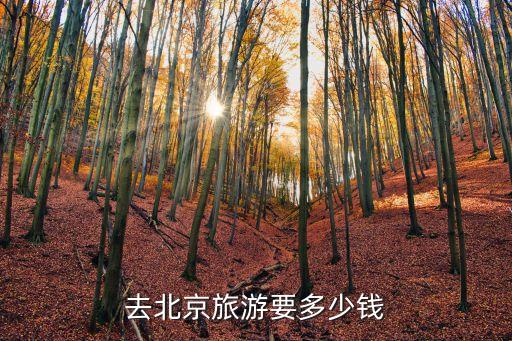 去北京旅游要多少钱