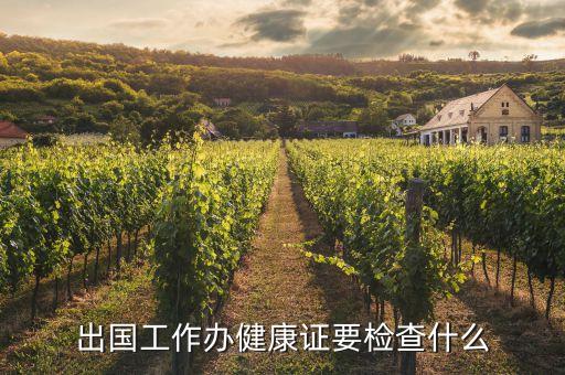 出国工作办健康证要检查什么