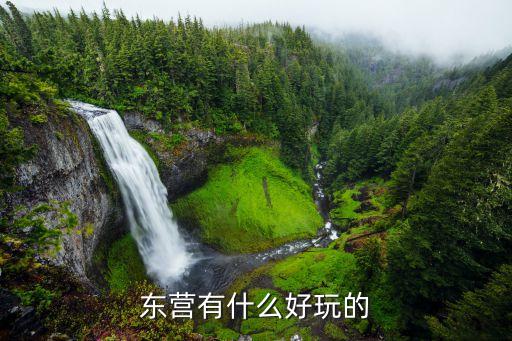 东营有什么好玩的