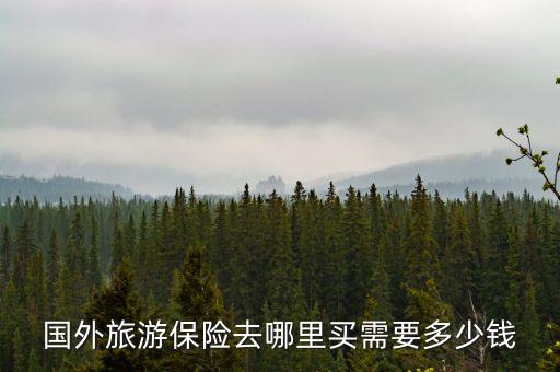 出境游保险一般多少钱啊，国外旅游保险去哪里买需要多少钱