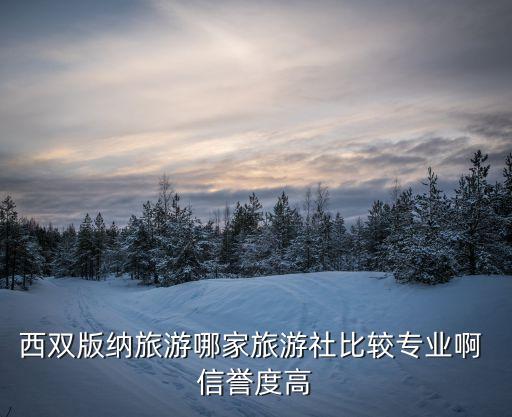 西双版纳旅游哪家旅游社比较专业啊 信誉度高