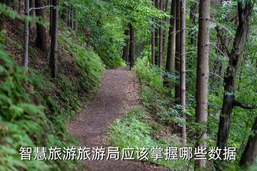 智慧旅游旅游局应该掌握哪些数据