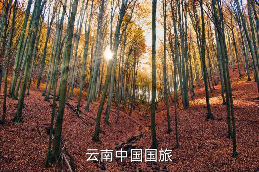 云南中国国际旅行社有限公司，南京中国国际旅行社官网