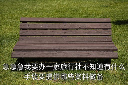 急急急我要办一家旅行社不知道有什么手续要提供哪些资料做备