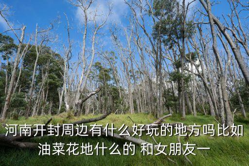 河南开封周边有什么好玩的地方吗比如油菜花地什么的 和女朋友一