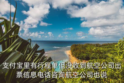 支付宝里有行程单但没收到航空公司出票信息电话咨询航空公司也说