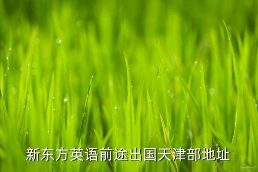 新东方出国留学部，想问新东方出国留学中介怎么样