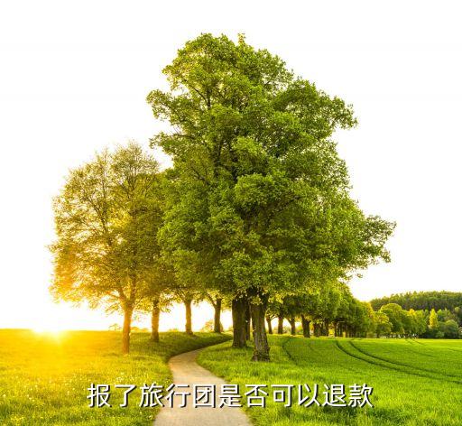 网上报的旅游团可以退款吗，报了旅行团是否可以退款