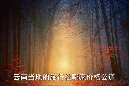 云南当地的旅行社哪家价格公道