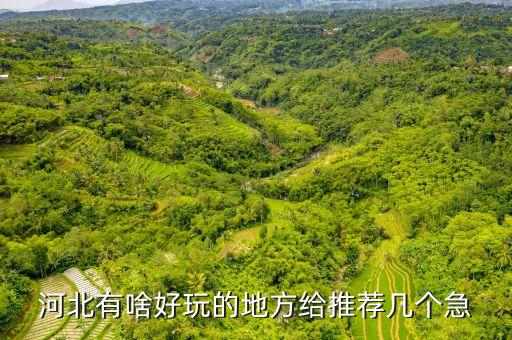河北有啥好玩的地方给推荐几个急
