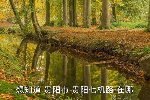 贵阳中旅旅行社地址，咨询贵州省各大旅行社和会展类公司的名字和电话地址