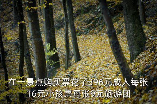 在一景点购买票花了396元成人每张16元小孩票每张9元旅游团