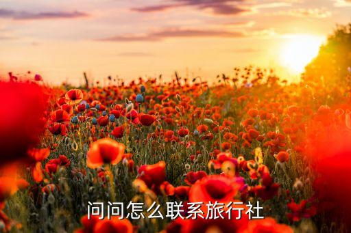 怎么联系当地旅行社，问问怎么联系旅行社