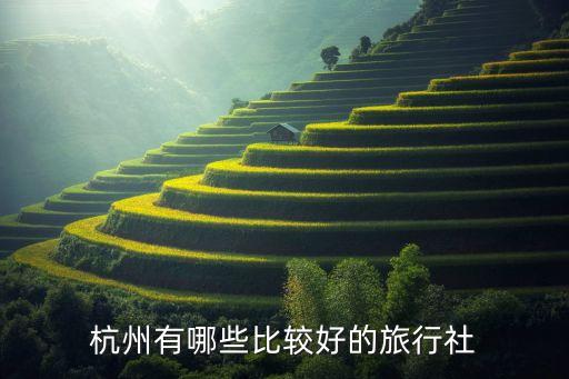 杭州旅游公司排名前十名有哪些，杭州有哪些比较好的旅行社