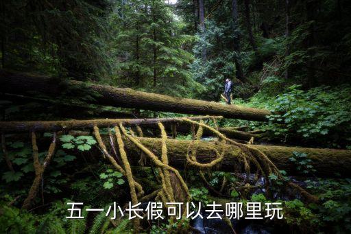 五一小长假可以去哪里玩