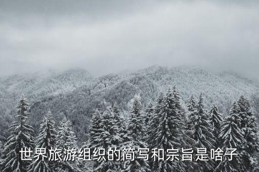 世界旅游组织的简写和宗旨是啥子