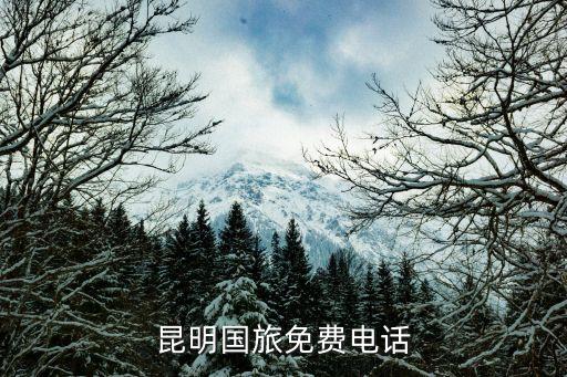 昆明汉楼国际旅行社电话，昆明国旅接待电话
