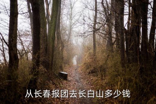 长春出发的旅游团多少钱，请问长春到长白山旅游正规旅行社2日游每人多少钱