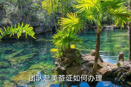 报团去美国，想去美国玩在哪里报团比较好