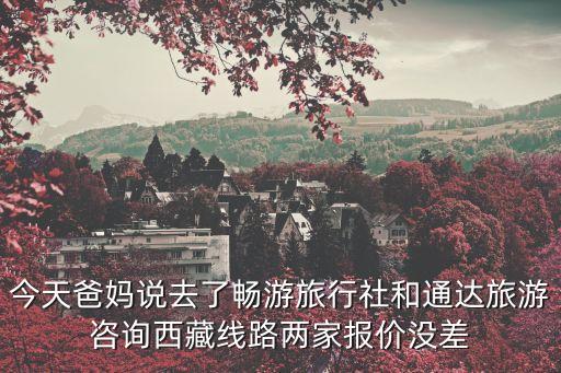 今天爸妈说去了畅游旅行社和通达旅游咨询西藏线路两家报价没差