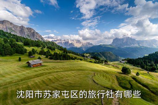 沈阳市苏家屯区的旅行社有哪些